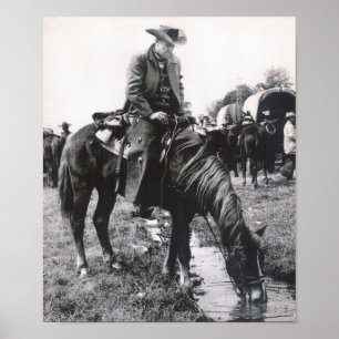 IMPRESSÃO 11 X 13,31 DA CARTEIRA