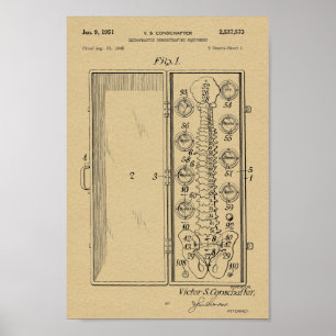 Impressão 1951 da arte da patente da espinha da