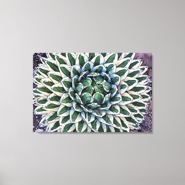 Impressão Agave victoriae-reginae (Frente)