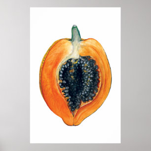 Impressão alaranjado da fruta botânica da PAPAIA