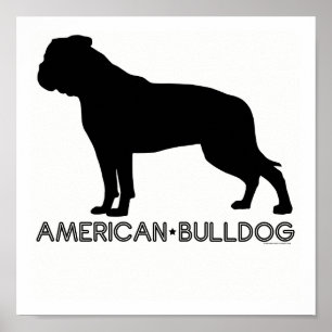 Impressão americano do buldogue