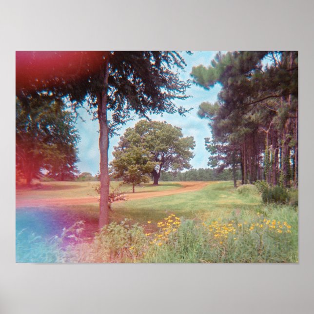 Impressão analógico da floresta de fadas (Frente)