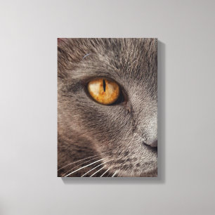 Impressão animal bonito das canvas da cara