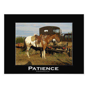 Impressão animal eqüino da arte da foto do caval