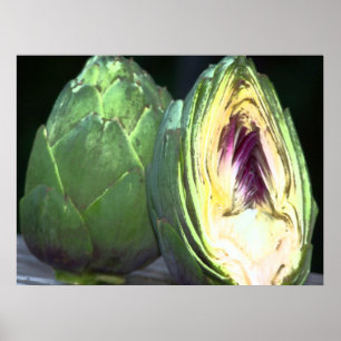 Impressão Artichoke Canvas