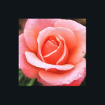 Impressão Artística Botânica de Rosa Romântica<br><div class="desc">Capture a beleza e a elegância atemporais da natureza com esta impressionante impressão artística que apresenta uma delicada rosa em plena floração. Conhecida por seu simbolismo de amor e romance, as pétalas macias e as cores vibrantes da rosa a tornam uma escolha clássica para melhorar a decoração de qualquer cômodo....</div>