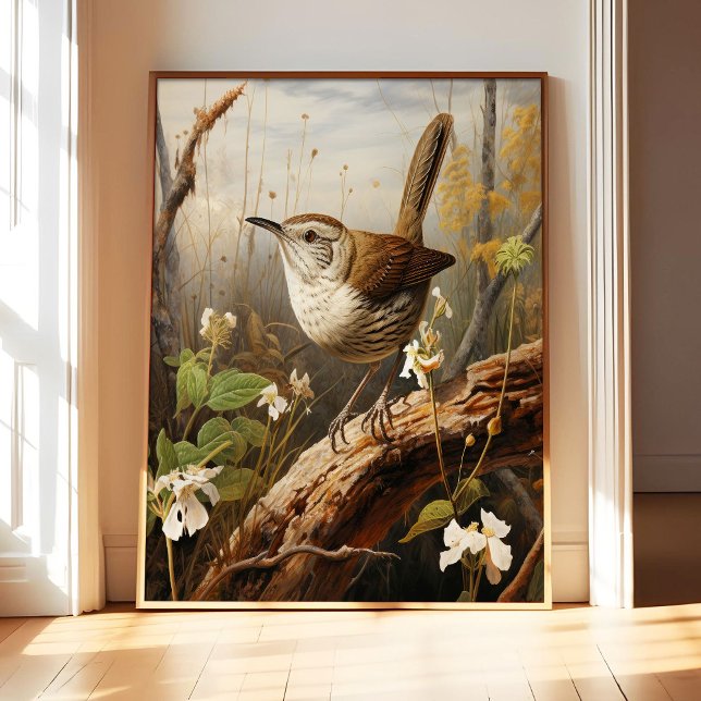 Impressão artística de Bewick's Wren Poster, Pared (Criador carregado)