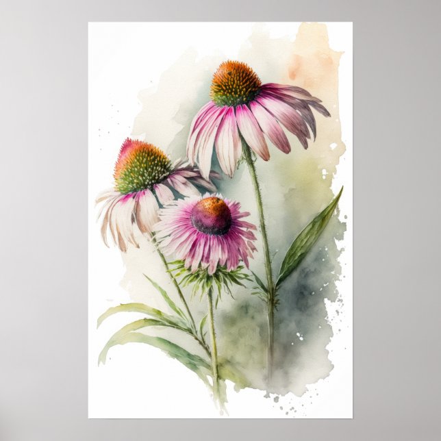 Impressão Artística de Cartaz de Coneflowers Rosa (Frente)
