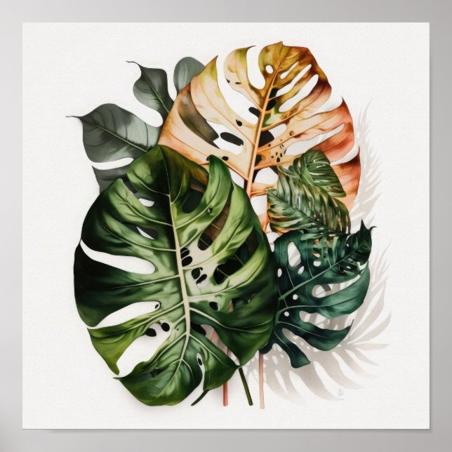 Impressão Artística de Folhas de Monstera Poster (Frente)