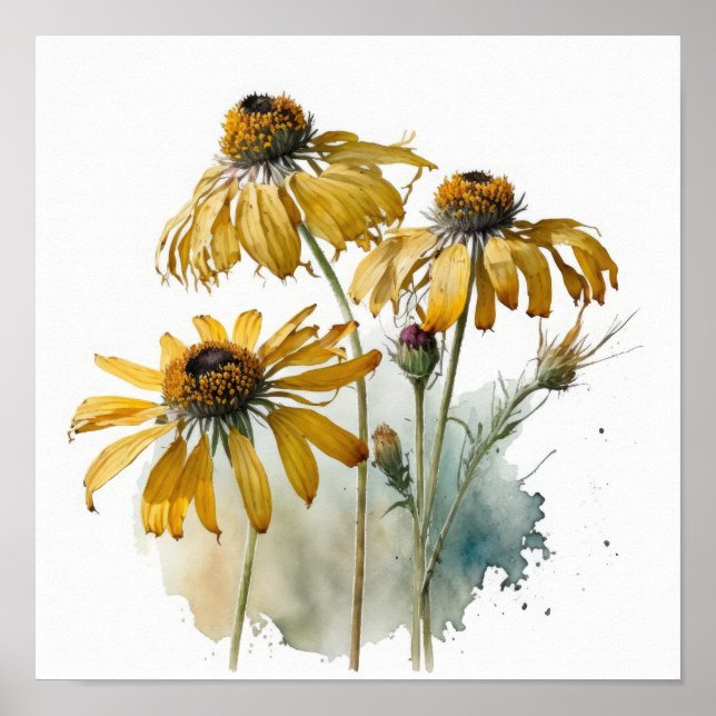 Impressão Artística de Poster de Coneflowers Amare (Frente)