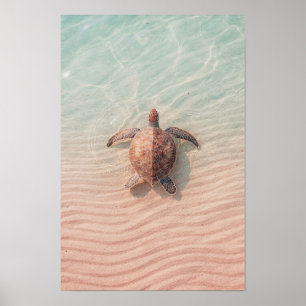 Impressão Artística de Tartaruga Marinha Costeira 