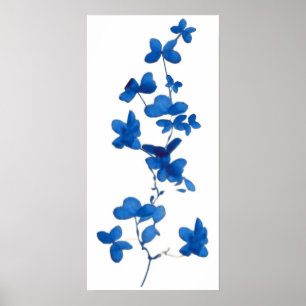 Impressão azul da flor