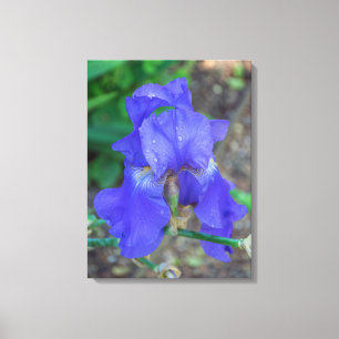 Impressão azul das canvas da flor da íris