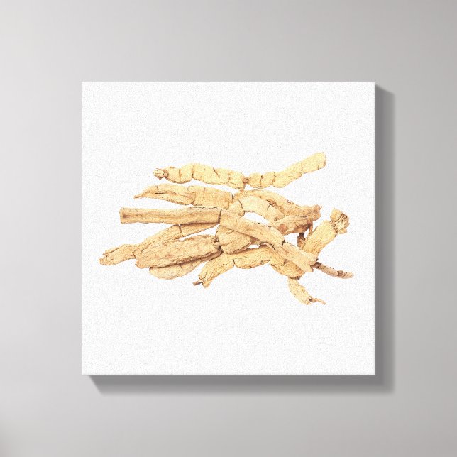 Impressão Ba Ji Tian Canvas (Frente)