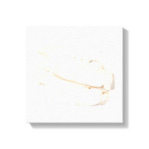 Impressão Bai Shao Canvas