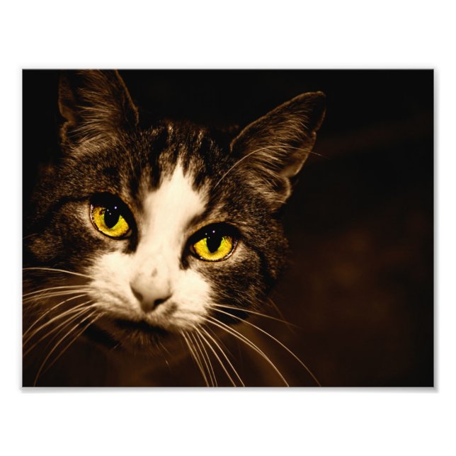Impressão bonito da foto dos olhos de gato (Frente)