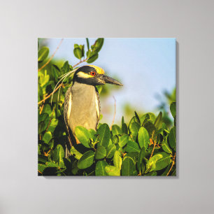 IMPRESSÃO BONITO DAS CANVAS DO MOMENTO A TEMPO 24