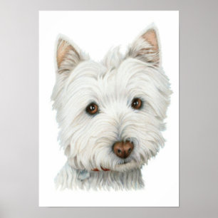 Impressão bonito do cão de Westie