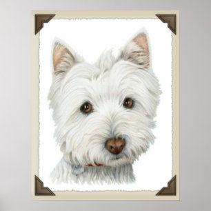 Impressão bonito do cão de Westie