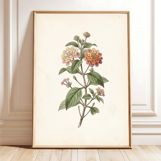 Impressão Botânica Cottagecore Lantana (Criador carregado)