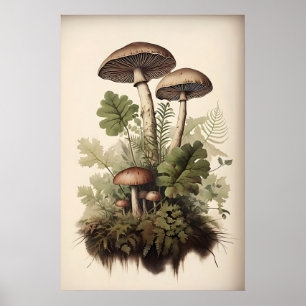 Impressão Botânica de Cogumelo, Musgo Samambaia, V