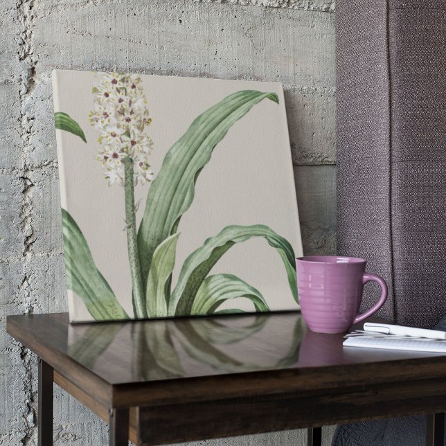 Impressão Botânica de Cor Marinha Antica (Watercolor Antique Botanical Print Poster)