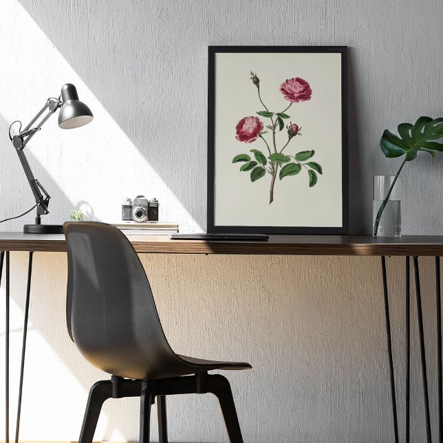 Impressão Botânica de Cor Marinha Antica (Antique Watercolor Botanical Print)