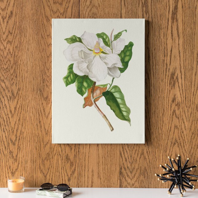 Impressão Botânica de Cor Marinha Antica (Antique Watercolor Botanical Print)