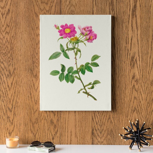 Impressão Botânica de Cor Marinha Antica (Antique Watercolor Botanical Print)