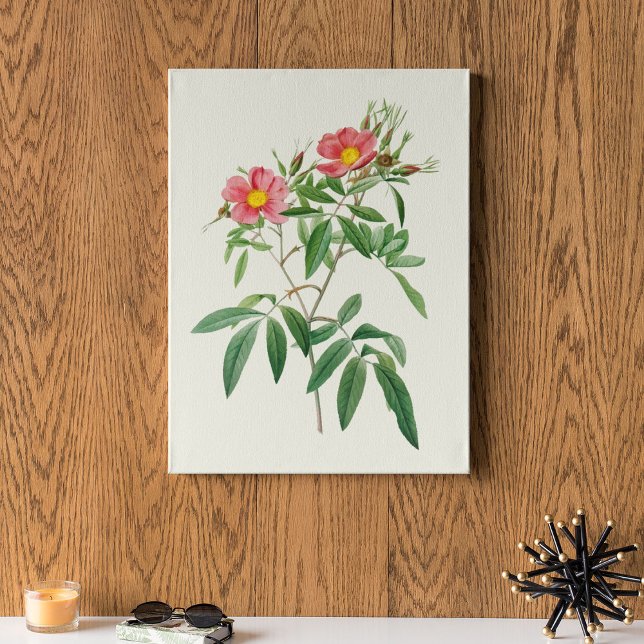 Impressão Botânica de Cor Marinha Antica (Antique Watercolor Botanical Print)