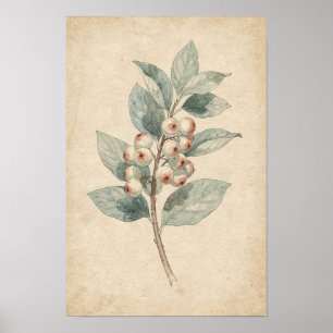 Impressão Botânica de Galho de Snowberry Estudo