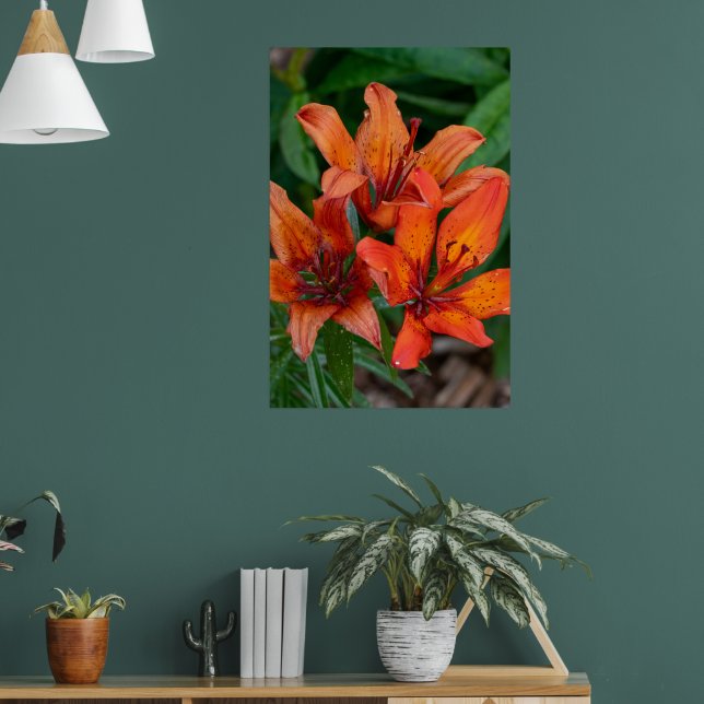 Impressão Botânica de Hemerocallis, Fotografia Can (Sala de Estar 1)