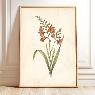 Impressão Botânica de Montbretia em Tela - Arte de