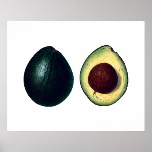 IMPRESSÃO botânico AVOCADOS