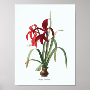 Impressão botânico da arte da ilustração flora