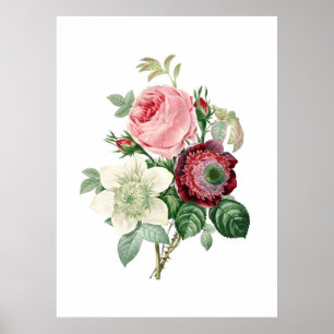 Impressão botânico dos ROSAS originais por Redou