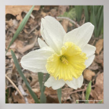 impressão branco cinzento