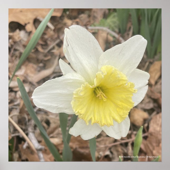 impressão branco cinzento (Frente)