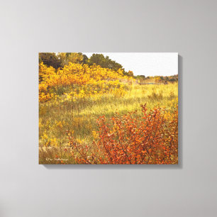 impressão "CAMPO DE CANVAS DOURADA"