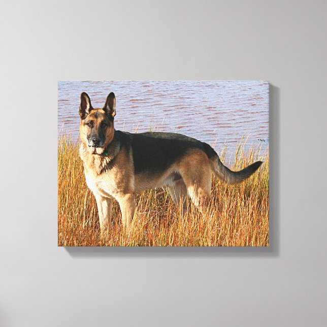 Impressão Canvas german shepherd (Frente)