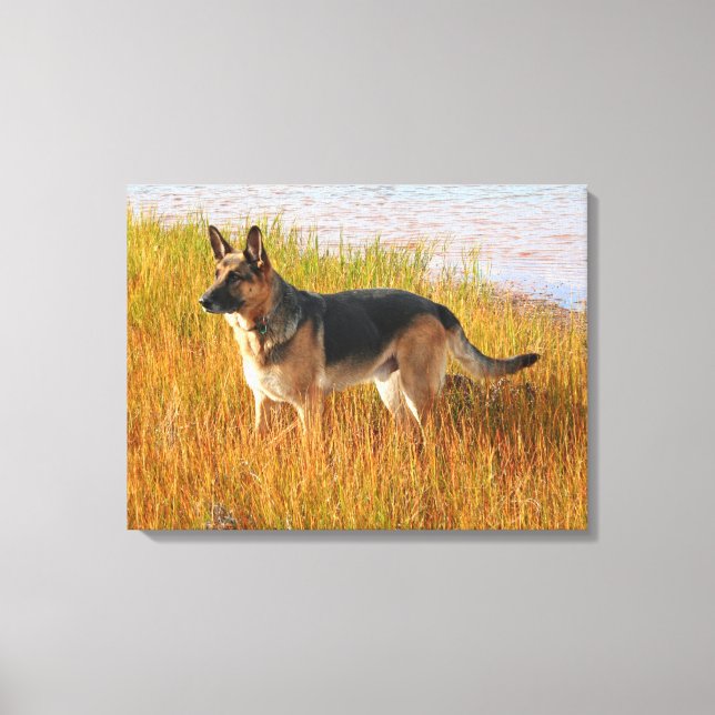 Impressão Canvas german shepherd (Frente)