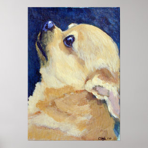 Impressão Chihuahua