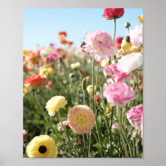 Impressão colorida de flores, papel de pôster (sem