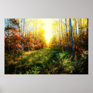 Impressão colorido brilhante da paisagem