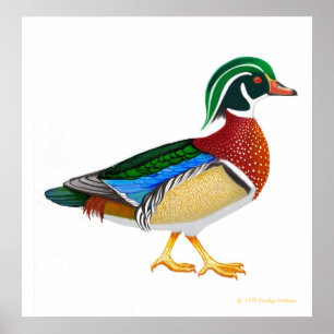 Impressão colorido de Drake do pato de madeira