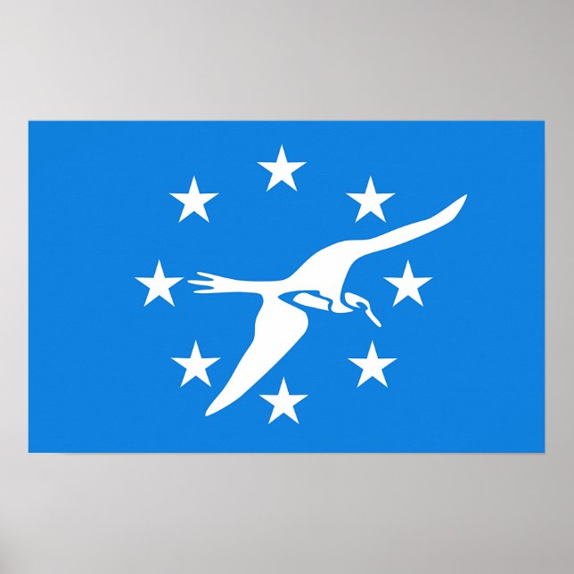 Impressão com a bandeira de Corpus Christi, EUA (Frente)