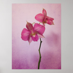 Impressão cor-de-rosa cor-de-rosa do poster das