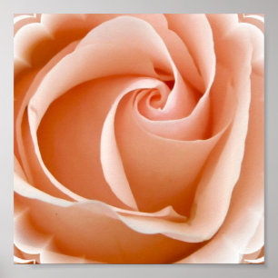 Impressão cor-de-rosa do poster da foto
