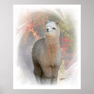 Impressão da alpaca da queda
