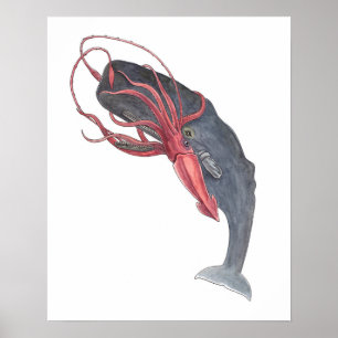 Impressão da arte da aguarela do calamar e da